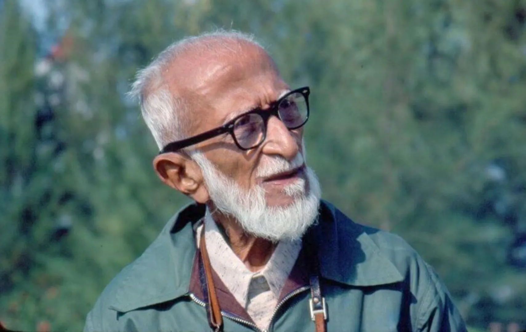 real birdman salim ali